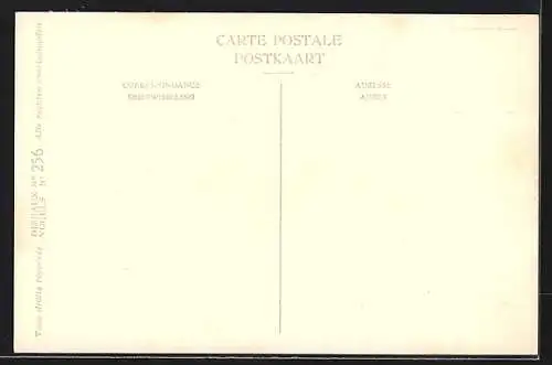 Künstler-AK Hubert Dupond: Musée Royal d'Histoire Naturelle de Belgique, Vogel-Serie: Noordsche Pijstormvogel