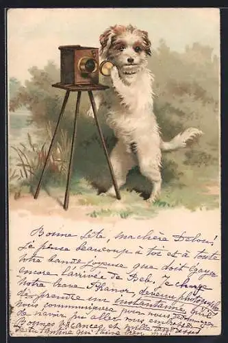 Lithographie Hund bedient einen Fotoapparat, vermenschlichte Tiere