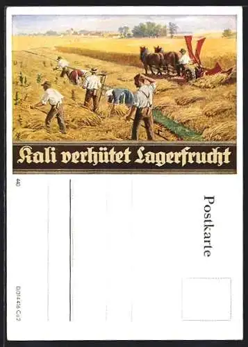 AK Reklame für Kali, Kali verhütet Lagerfrucht, Bauern bei der Heuernte