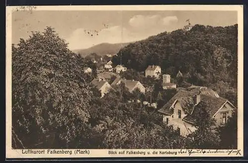 AK Falkenberg /Mark, Ortsansicht mit Karlsburg aus der Vogelschau