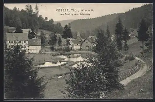 AK Vesser /Thür., Am Aufstieg zum Adlersberg