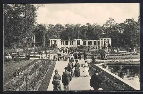 AK Berlin-Tiergarten, Partie im Rosengarten im Tiergarten