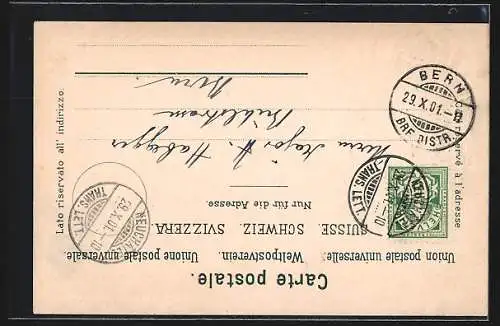 Lithographie Neuchatel, Chateau et les Alpes, Stadtwappen um 1900