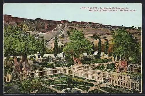 AK Jerusalem, Jardin de Gethsemanie