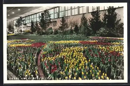 AK Berlin, Grüne Woche Berlin 1958, Blumenbeet, Ausstellung