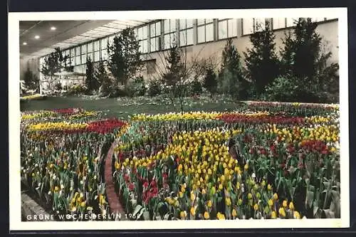 AK Berlin, Grüne Woche Berlin 1958, Blumenbeet, Ausstellung