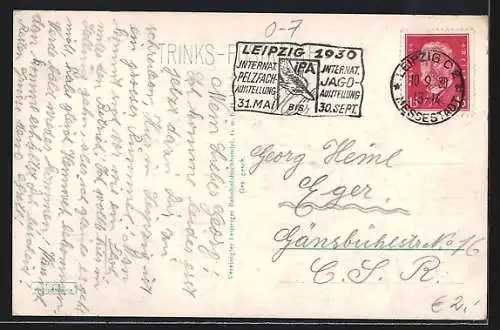 AK Leipzig, Partie aus dem Palmengarten