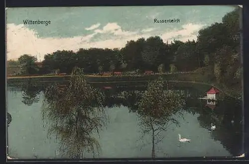 AK Wittenberge, Schwäne auf dem Russenteich