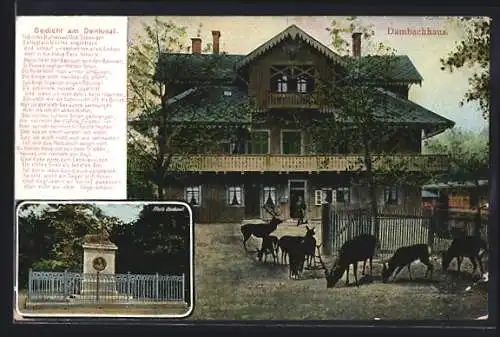 AK Thale, Dambachhaus, Hirsche, Pfeils Denkmal