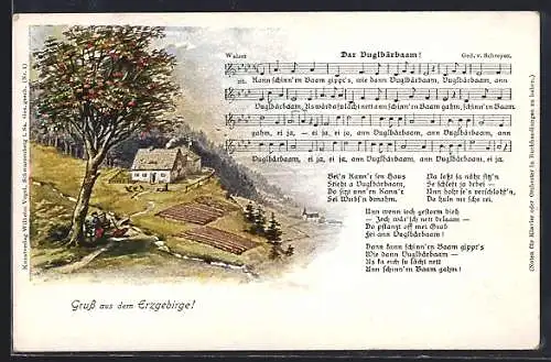 Künstler-AK Gruss aus dem Erzgebirge!, Dar Duglbärbaam, Lied mit Noten