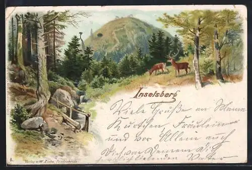 Künstler-AK Brotterode, Blick zum Inselsberg, Hirsch, Reh