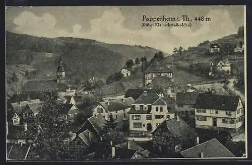 AK Pappenheim i. Th., Gesamtansicht aus der Vogelschau