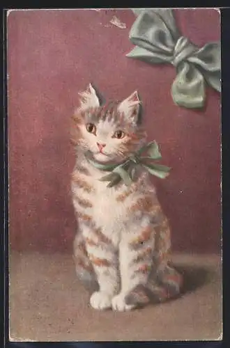 AK Bildnis einer Katze mit Schleife