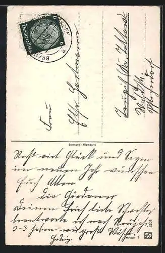 AK Glückliches Neujahr!, Kind auf Skiern, von Ferkeln gezogen