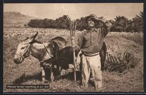 AK Maltese Farmer watching an Air Raid