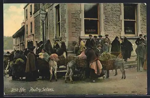 AK Irish Life, Poultry Sellers