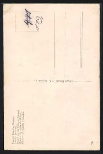 AK Mohács, Ungarische Bauern in Tracht