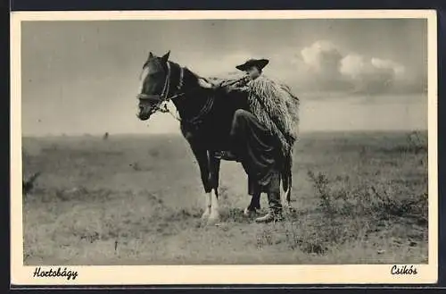 AK Hortobágy, Csikós, Ungar mit seinem Pferd