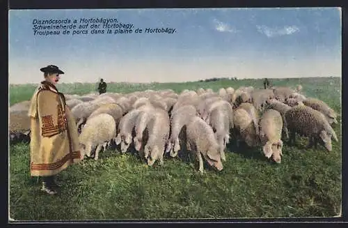 AK Ungarischer Hirte mit Schweineherde auf der Hortobagy