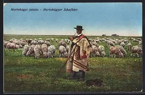AK Hortobágy, Schafhirt mit seiner Herde