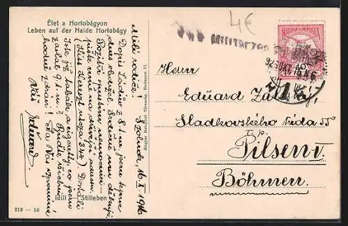 AK Leben auf der Haide Hortobágy, Ungarin mit einem Jungen