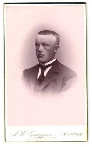 Fotografie A.W. Ljunggren, Gysinge, Porträt eines ernst blickenden Mannes