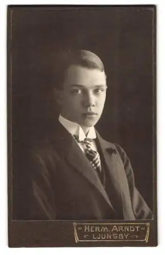 Fotografie Herm. Arndt, Ljungby, Porträt eines jungen Mannes in elegantem Anzug