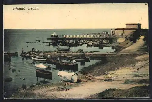 AK Livorno, Antignano