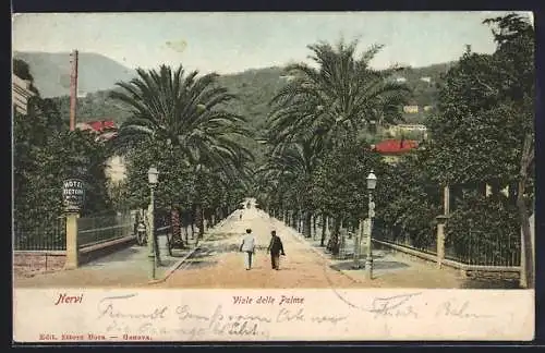 AK Nervi, Viale delle Palme