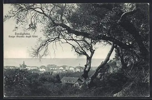AK Bordighera, Borgo Marina dagli Ulivi