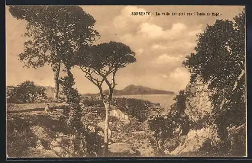 AK Sorrento, La valle dei pini con l`Isola di Capri