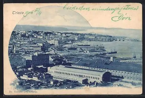 AK Trieste, Panorama
