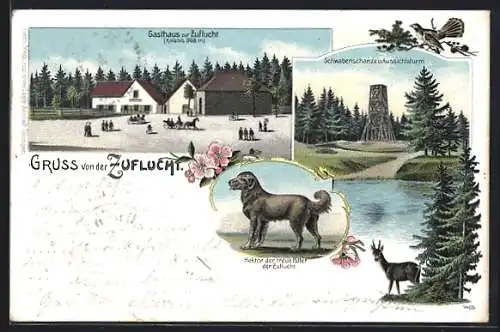 Lithographie Zuflucht, Gasthaus zur Zuflucht, Hektor der treue Hüter, Schwabenschanz