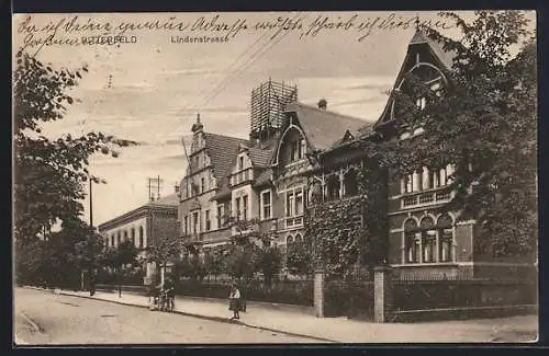 AK Bitterfeld, Lindenstrasse mit Villenfassaden