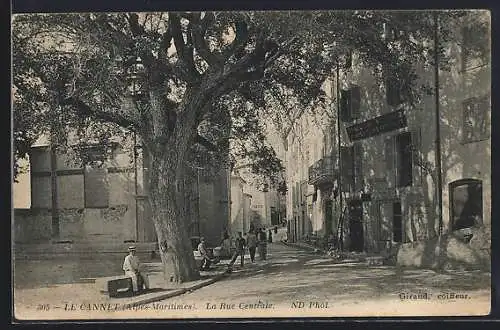 AK Le Cannet, La Rue Centrale avec arbre majestueux et passants
