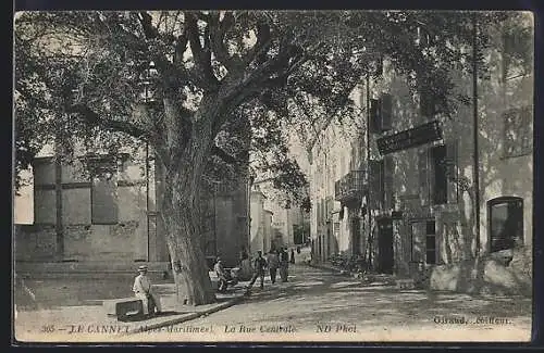 AK Le Cannet, La Rue Centrale avec grand arbre et passants