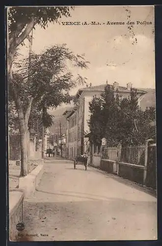 AK Vence, Avenue des Poilus avec charrette et arbres alignés