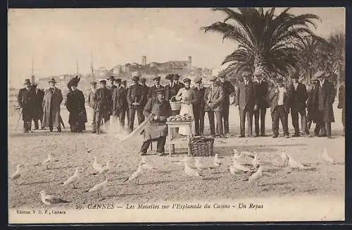 AK Cannes, Les Mouettes sur l`Esplanade du Casino, Un Repas