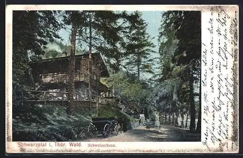 AK Schwarzatal i. Thür. Wald, Gasthof Schweizerhaus mit Waldpartie mit Kutsche und Spaziergänger mit Hund