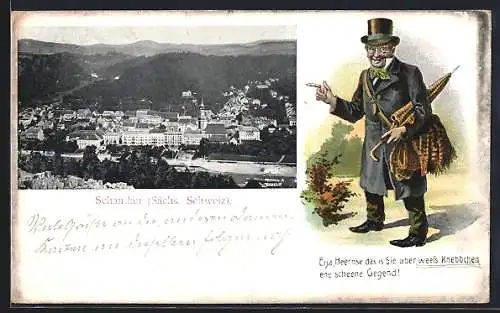 AK Schandau /Sächs. Schweiz, Gesamtansicht aus der Vogelschau, Passepartout