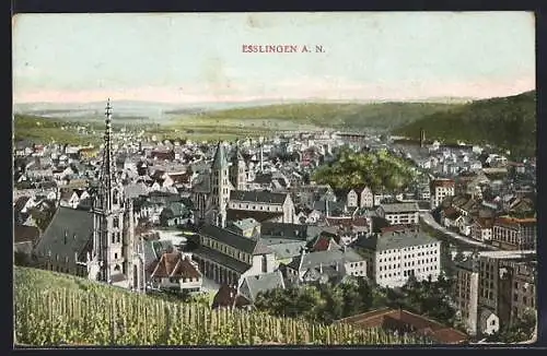 AK Esslingen a. N., Ortsansicht vom Weinberg aus über die Dächer