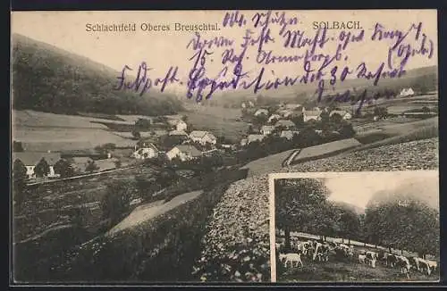 AK Solbach, Kühe und Ziege in den Vogesen, Gesamtansicht