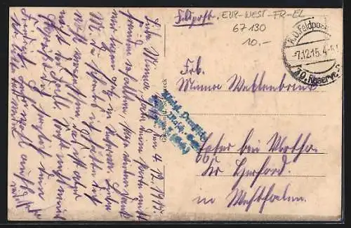 AK Solbach, Kühe und Ziege in den Vogesen, Gesamtansicht