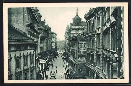 AK Brno, Masarykova trida
