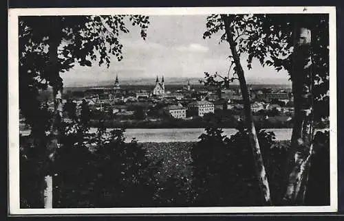 AK Kremsier / Kromcriz, Blick durch die Bäume zum Ort mit Kirchen