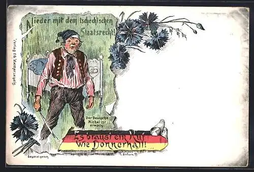 AK Nieder mit dem tschechischen Staatsrecht!, Der Deutsche Michel ist erwacht!...