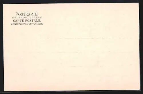 AK Marienburg / Malbork, die Marienburg vom Fluss gesehen