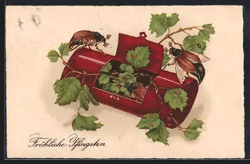 AK Frühliche Pfingsten, Maikäfer krabbeln aus Etui