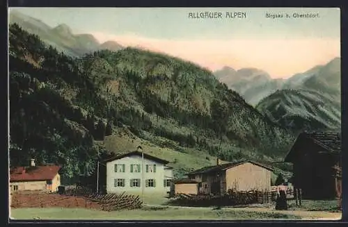 AK Birgsau b. Oberstdorf, Blick auf ein Gehöft