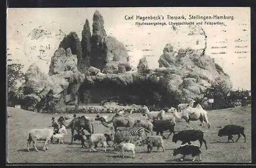 AK Stellingen-Hamburg, Carl Hagenbeck`s Tierpark, Heufressergehege, Löwenschlucht und Felspartien, Zebra, Kamel